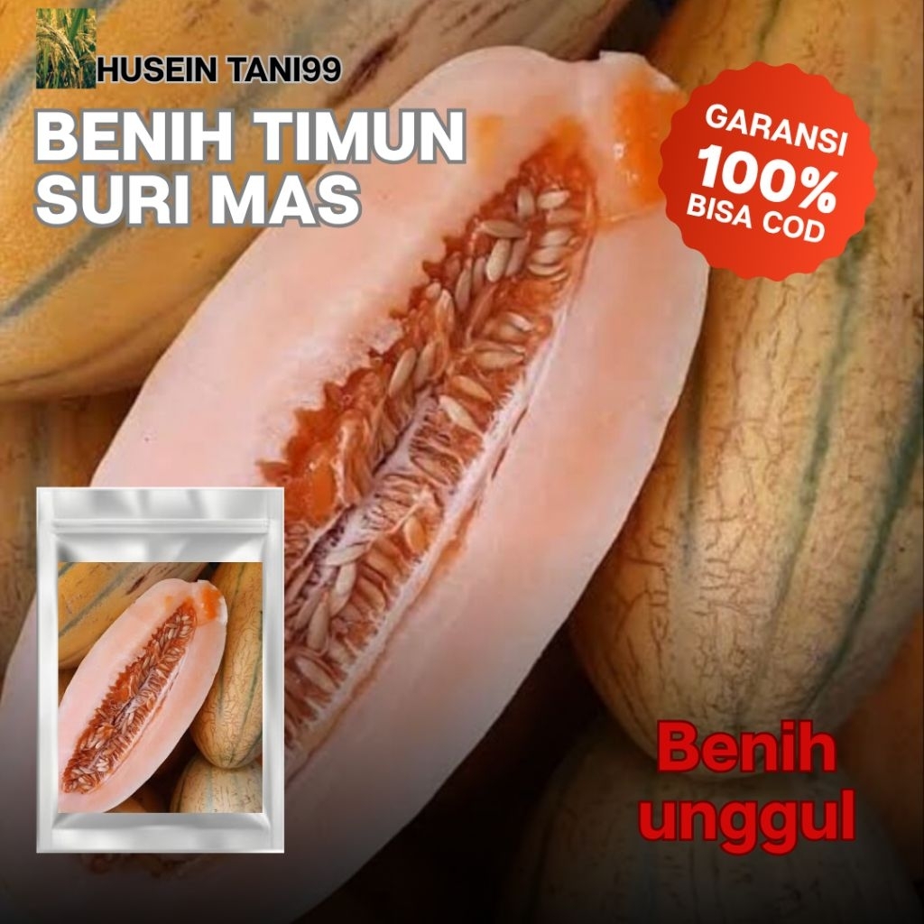 Jual Timun Mas Terlengkap & Harga Terbaru Mei 2026 | Shopee Indonesia