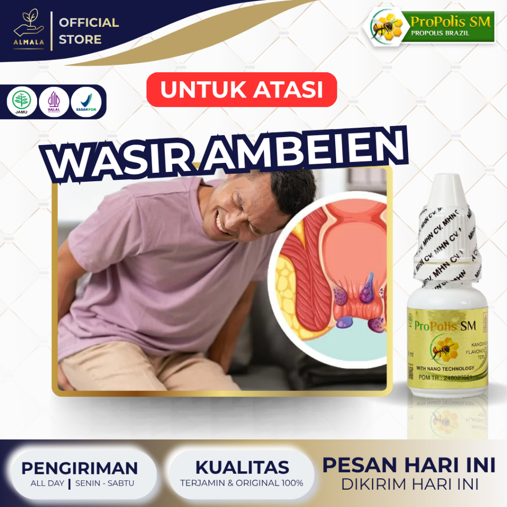 Obat Wasir Ambeien Stadium 1 2 3 4 Benjolan di Anus Fistula Ani Bab Berdarah Ambeyen Propolis Sm Brazil 100% Original