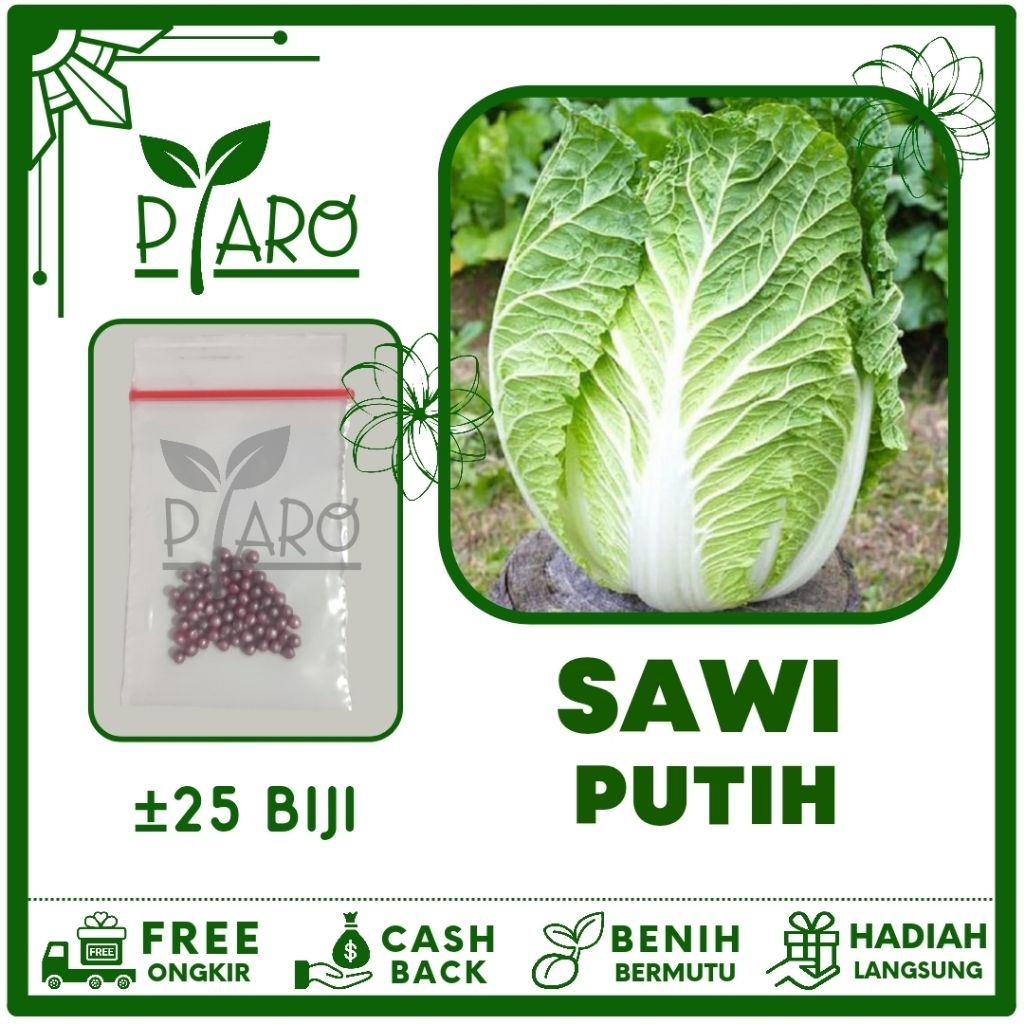 Bibit Benih Sawi Putih Unggul Mudah Tumbuh - Bibit Sayuran