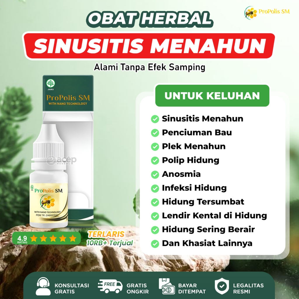 Jual Obat Sinusitis Polip Untuk Hidung Pilek Sinus Menahun Tersumbat ...