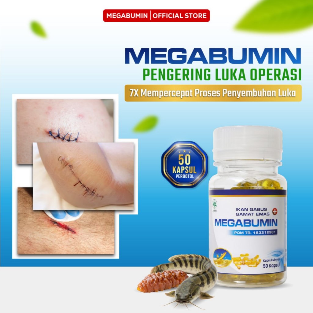 Jual Megabumin - Kapsul Minyak Ikan Gabus Isi 50 Obat Pasca Operasi ...
