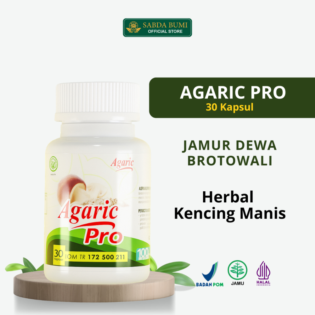 AGARIC PRO 30 Kapsul  Obat Herbal Diabetes Kencing Manis Standar Internasional 100% Herbal Alami