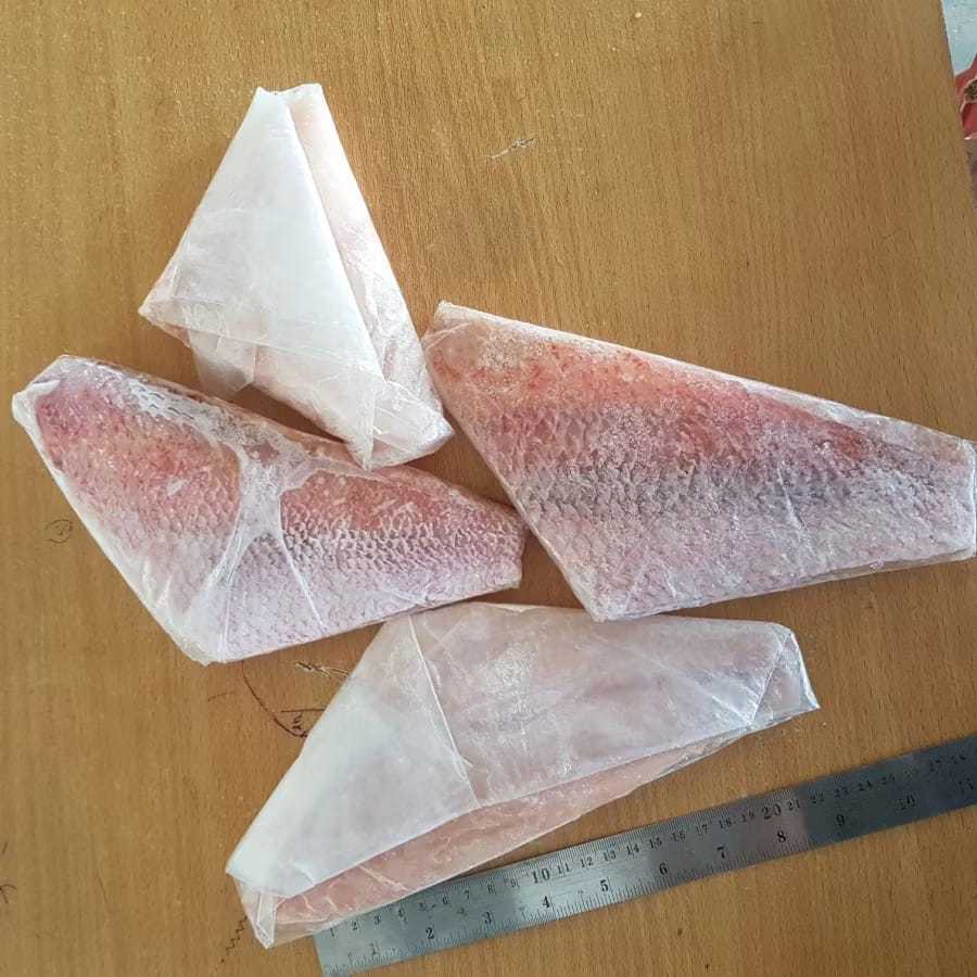Jual Ikan Kakap Merah Fillet / Red Snapper Frozen 1Kg | Shopee Indonesia