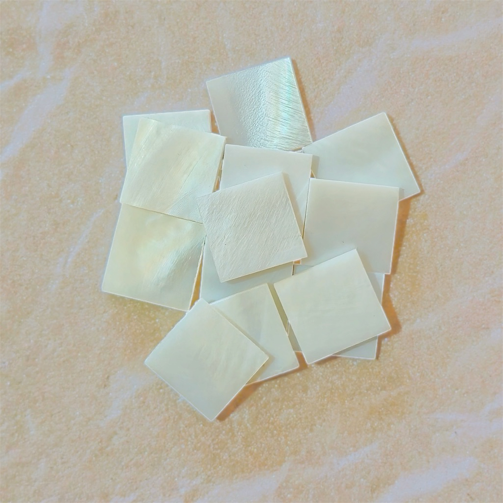 Jual Mother of Pearl Mosaic Tile Pure White Panel Kulit Kerang Mutiara ...