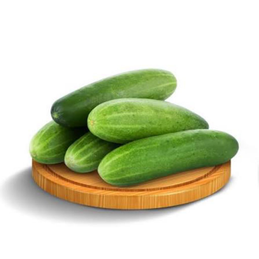 Jual TIMUN LALAP FRESH METIK LANGSUNG | Shopee Indonesia