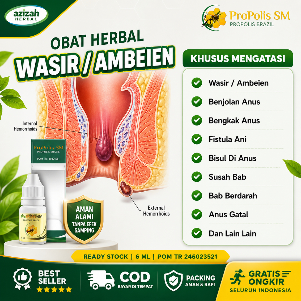 Obat Wasir Stadium 1 Sampai 4 Ambeien Fistula Ani Bab Berdarah Benjolan Di Dubur Propolis SM Brazil