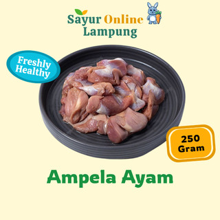 Ampela Ayam Segar 250 gr