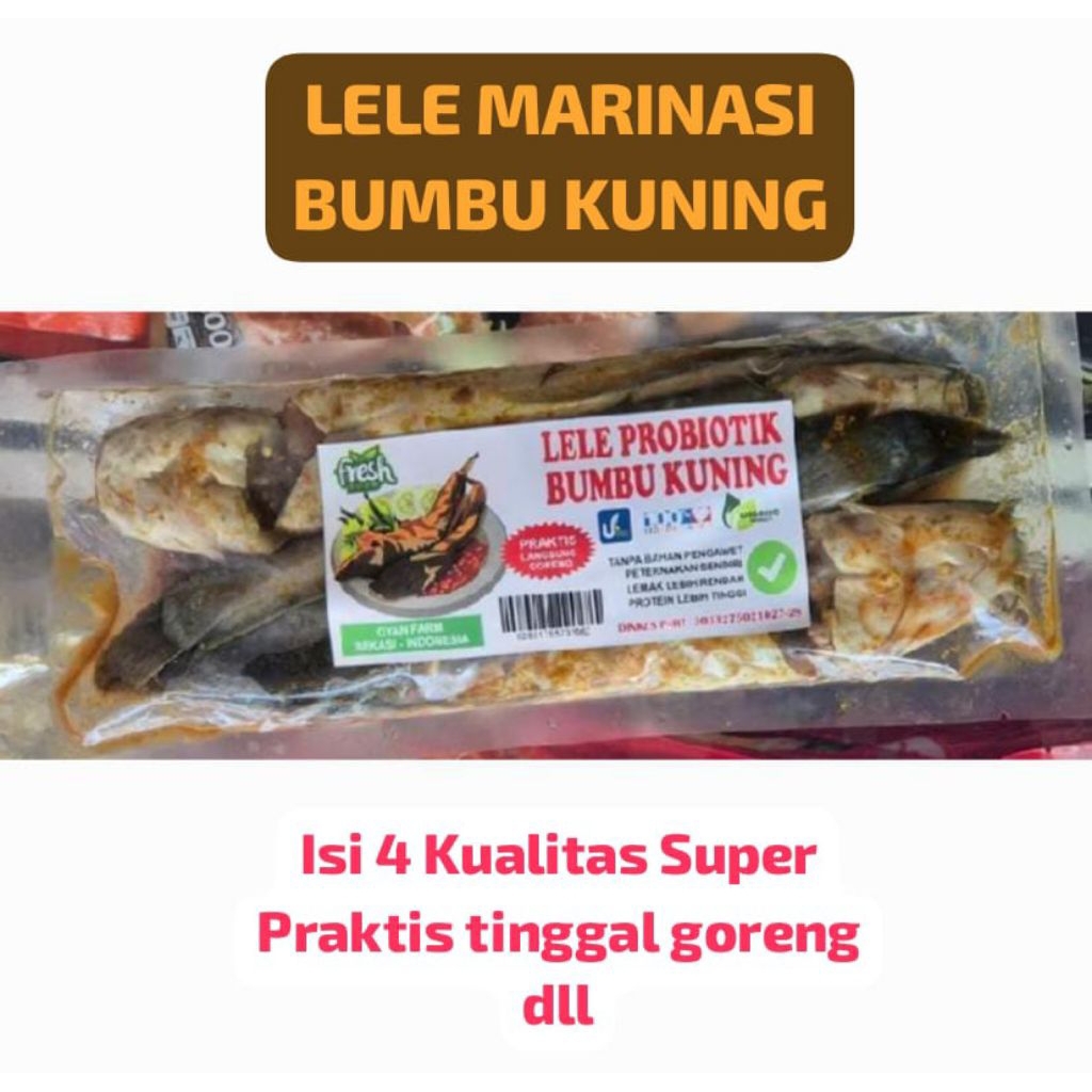 Jual [LELE 1 PACK 4 EKOR] Ikan Lele 4 Ekor Marinasi Bumbu Kuning Besar ...