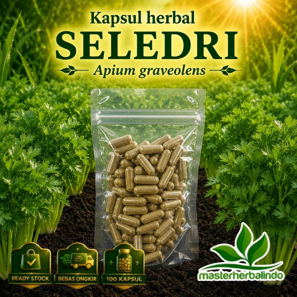 Kapsul Daun Seledri 100 Caps Herbal Bantu Turunkan Kolesterol Hipertensi Sehat Ginjal  Rematik Vitalitas Maag