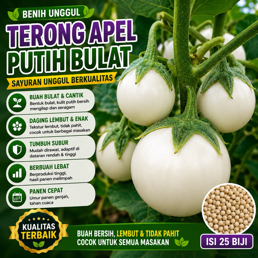 25 Biji Benih Terong Apel Putih Bulat Sayuran Unggul Berkualitas