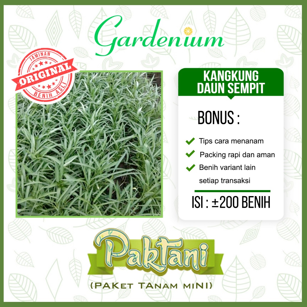 200 Benih Kangkung Daun Sempit Sayuran Unggul Paktani