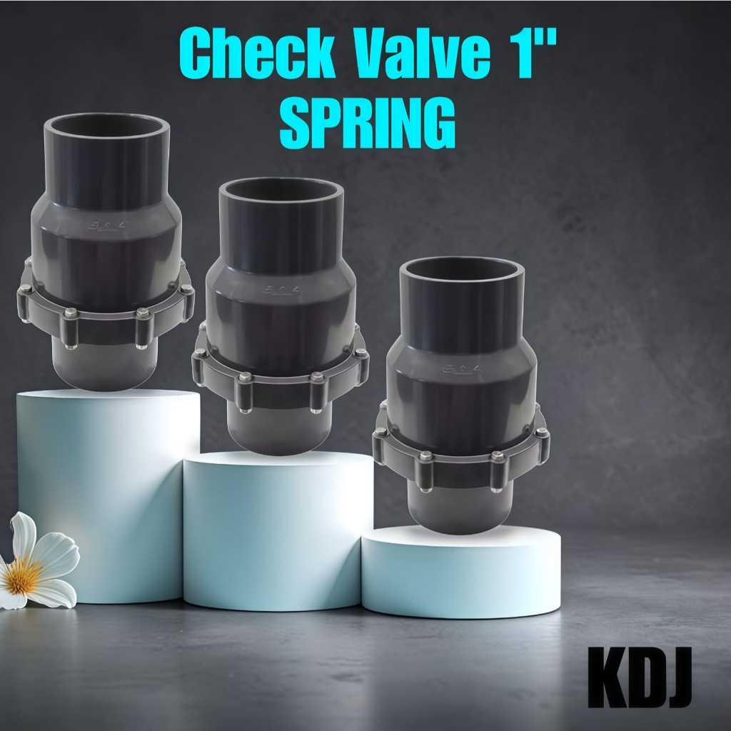 Jual Tabok Klep King Da Jeng / PVC Check Valve Spring 1