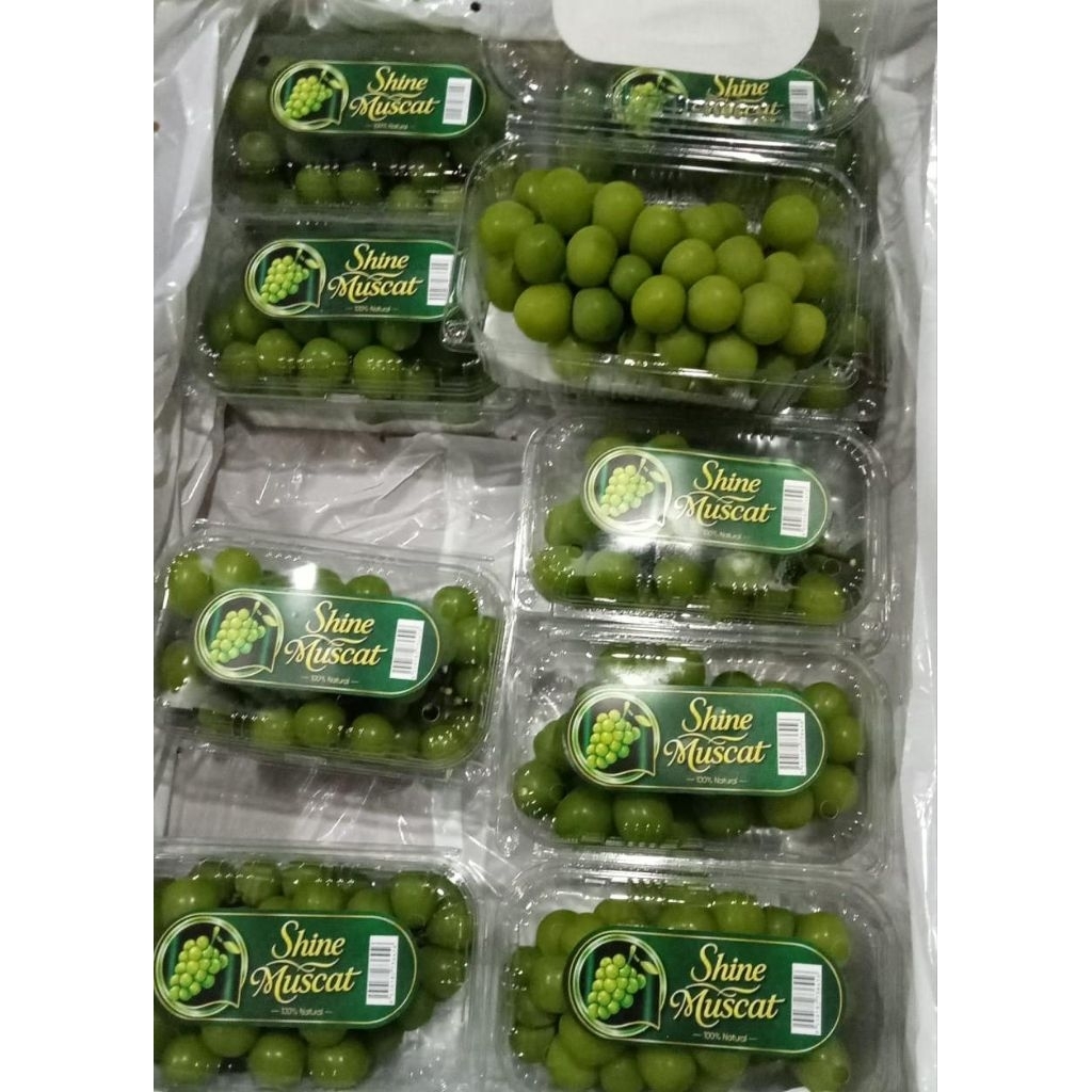 Jual Indukbuah Buah Anggur Hijau Shine Muscat Pack Seedless Manis 1 Dus ...