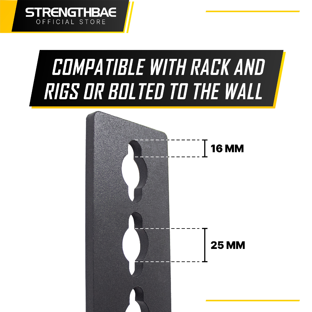 Jual Wall Ball Target STRENGTHBAE Competition Rig Target Rigs Hyrox ...