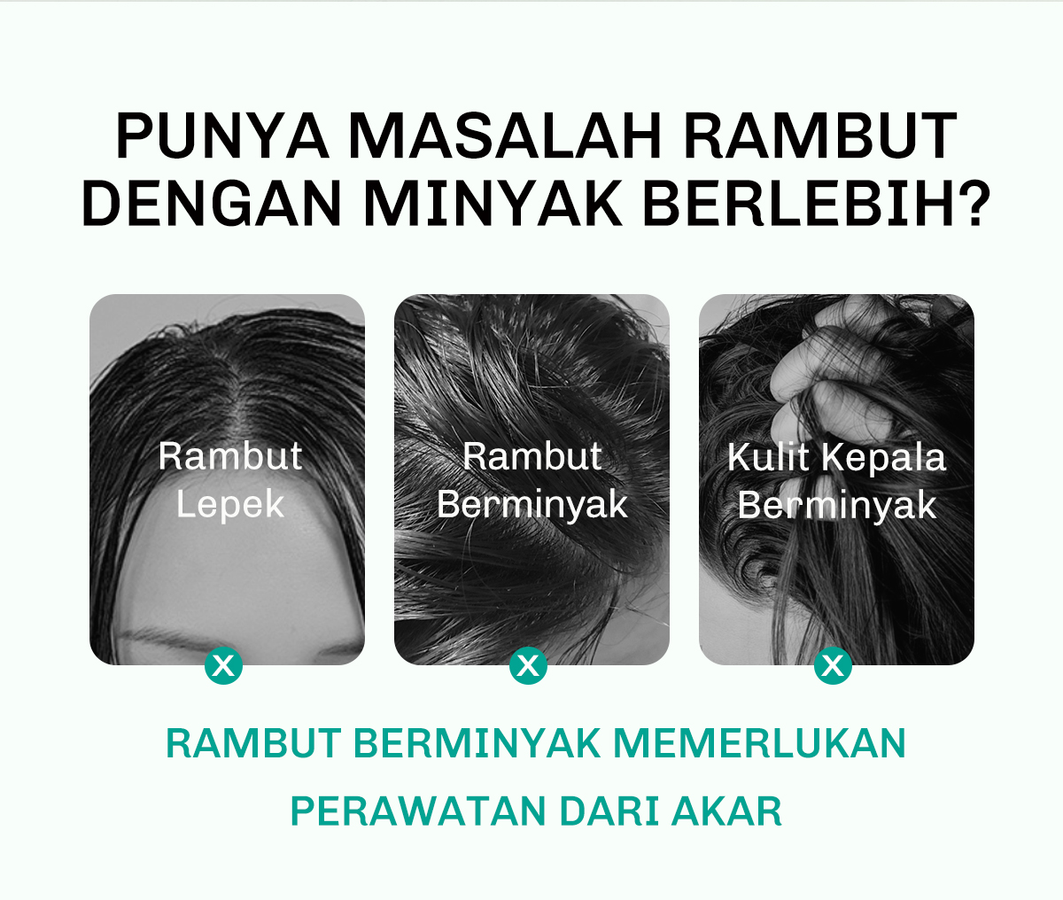 Jual Lavojoy Hair We Bloom Shampoo | Sampo Untuk Mengurangi Rambut ...