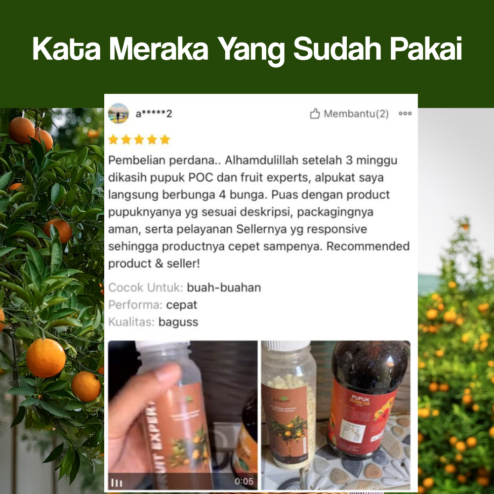 Jual INFARM - Paket Pelebat Buah, Pupuk Booster Buah Anti Rontok Pupuk ...