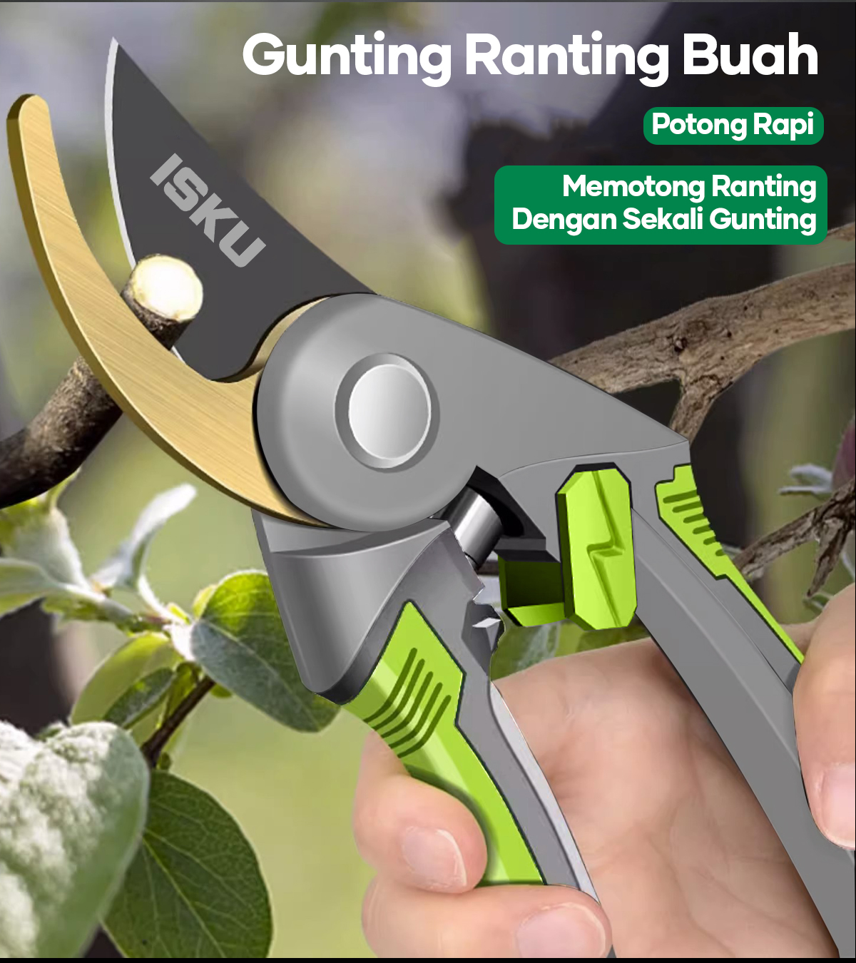 Jual ISKU Gunting Dahan 8 Inch Dan Ranting Bunga Tanaman Gunting Kebun ...
