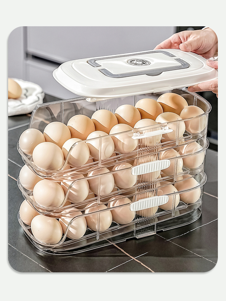 Jual ANGOLA Tempat Penyimpanan Telur Praktis C47 Egg Storage Organizer ...
