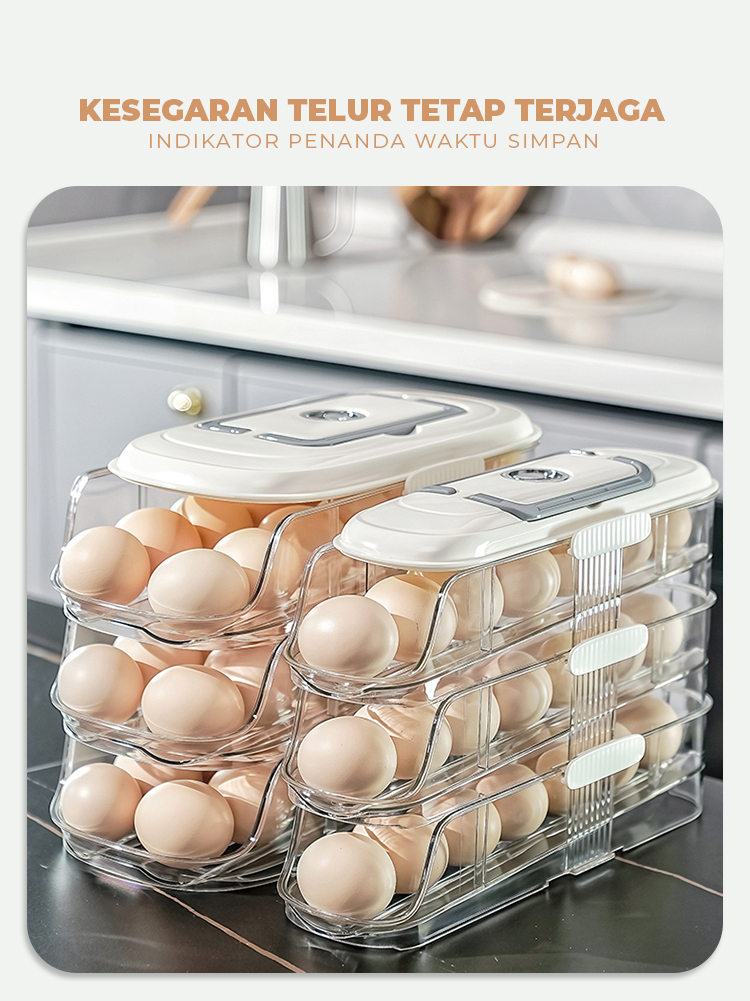 Jual ANGOLA Tempat Penyimpanan Telur Praktis C47 Egg Storage Organizer ...