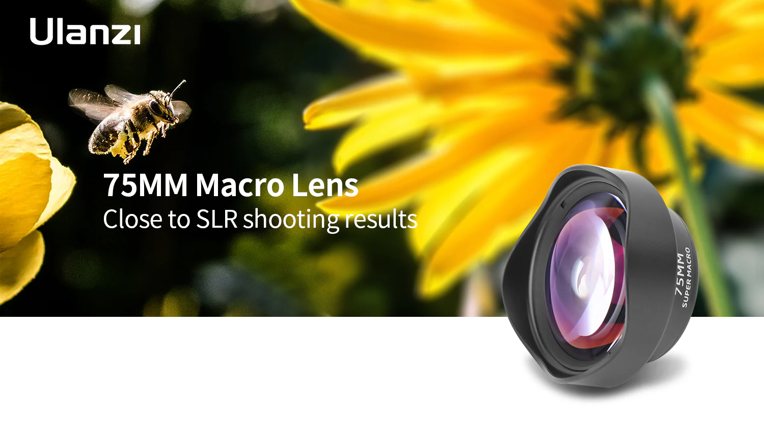 Jual ULANZI 75mm 10x Macro Lens - LENSA MAKRO [40~75mm] | Shopee Indonesia