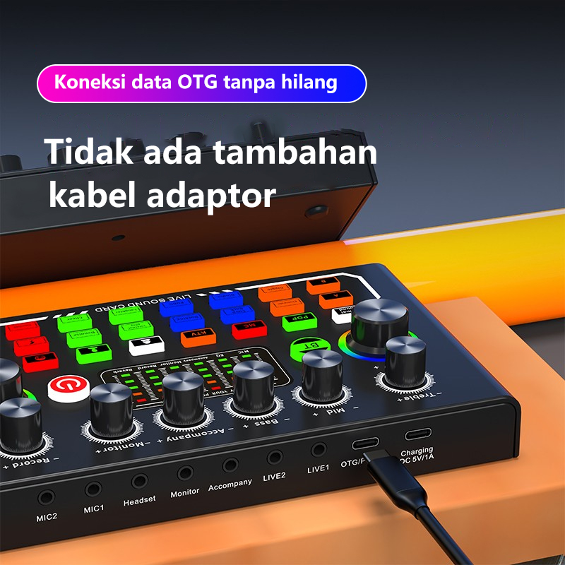 Jual NETPAC Sound Card F009 Bluetooth Singing Recording Professional ...
