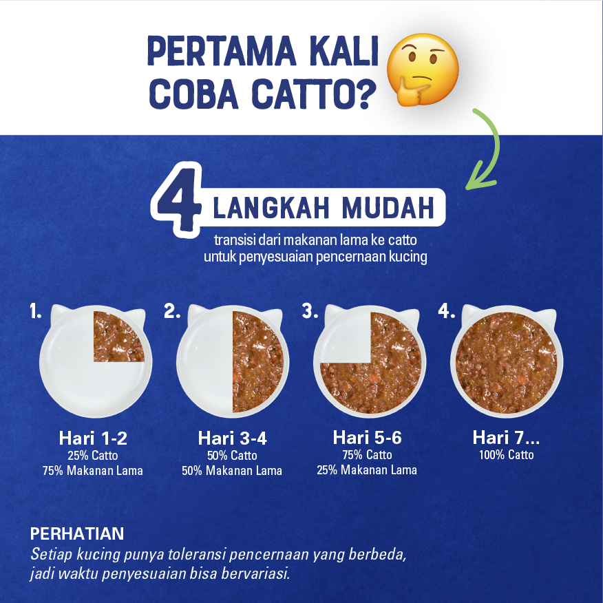 Jual Catto Makanan Kucing Basah Dewasa Cat Food - Box Fish, Shrimp, and ...