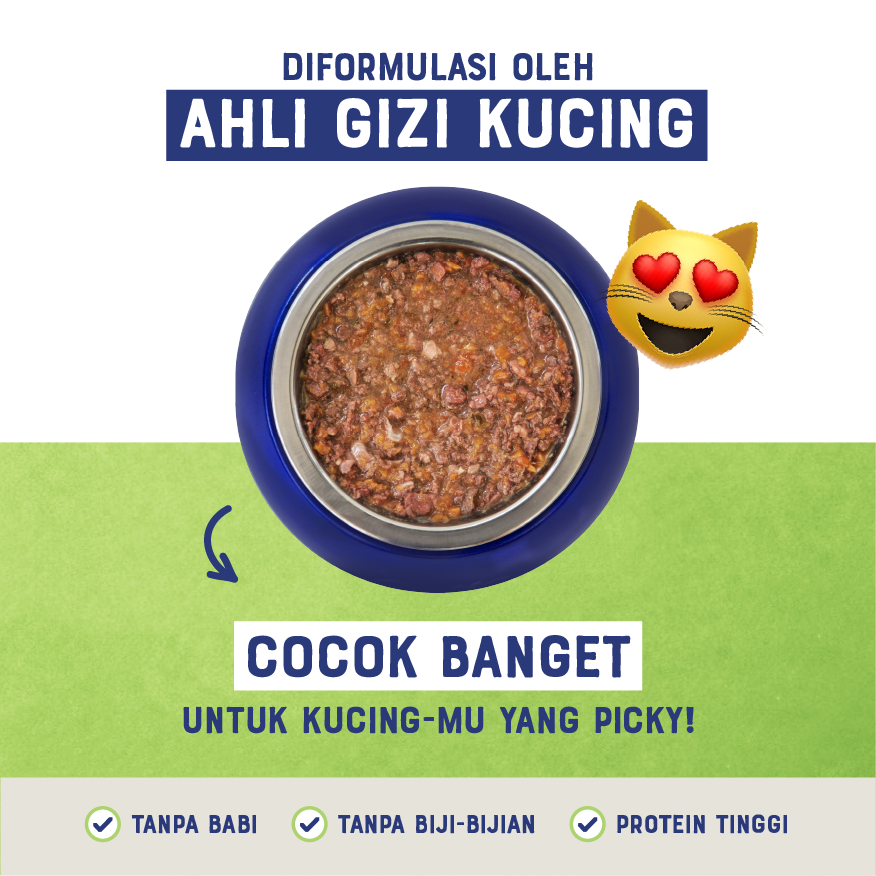Jual Catto Makanan Kucing Basah Dewasa Cat Food - Box Chicken and Beef ...