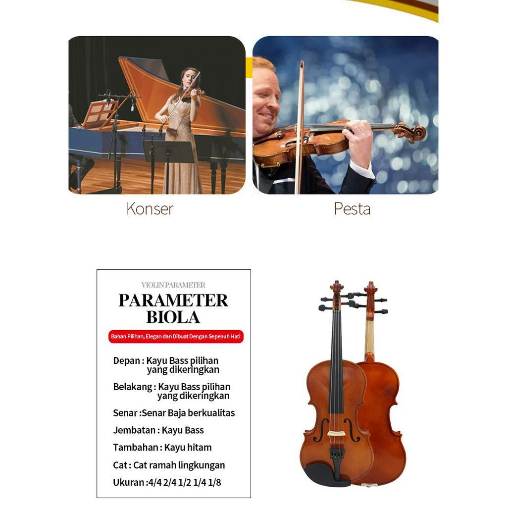 Jual Benston Music- 4/4 biola untuk dewasa, anak-anak, dan remaja /alat ...