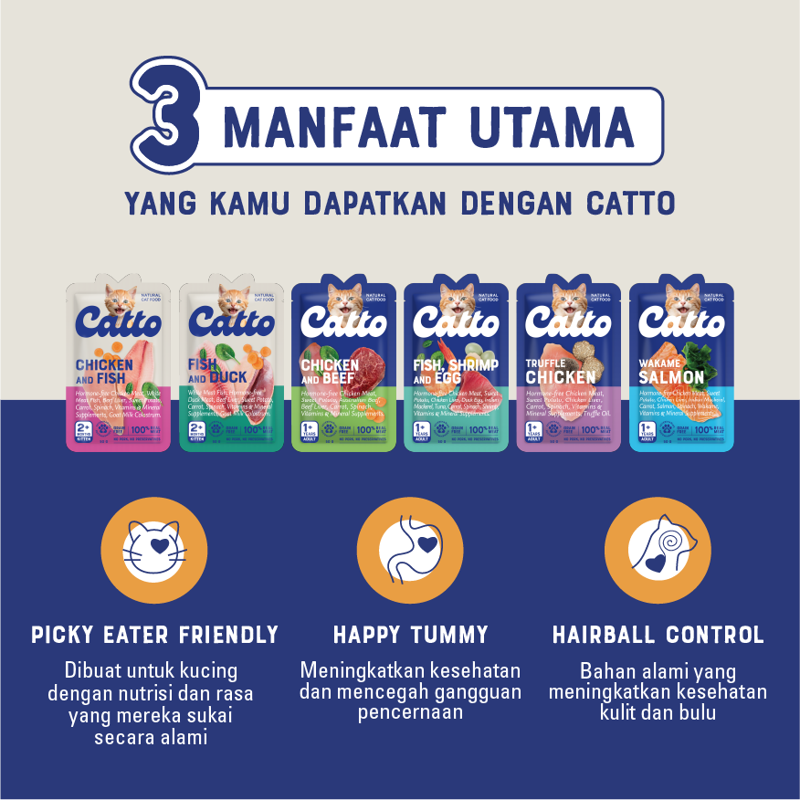 Jual Catto Makanan Kucing Basah Dewasa Cat Food - Box Fish, Shrimp, and ...