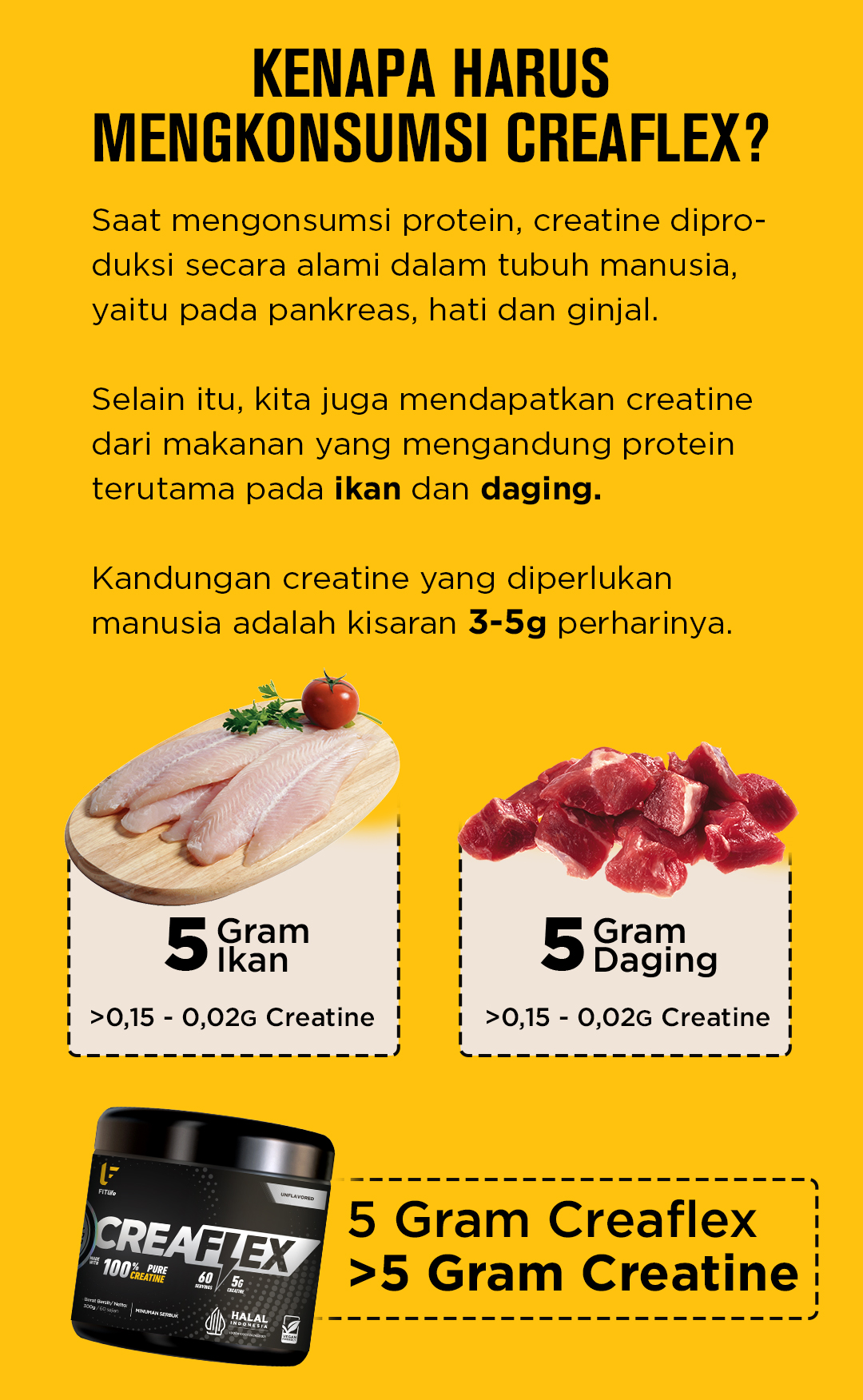 Jual FITlife CreaFLEX Pure Creatine Monohydrate | Shopee Indonesia