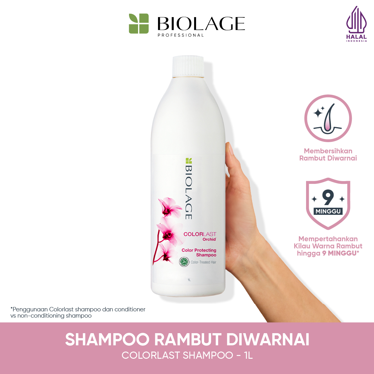 Jual Biolage Indonesia Colorlast Shampoo 1000ml - Shampoo Professional ...