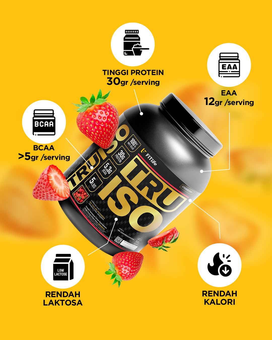 Jual FITlife Truiso Whey Protein Isolate 5lbs/2260gr (WPro Iso Upgraded ...