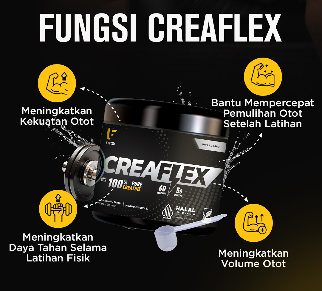 Jual FITlife CreaFLEX Pure Creatine Monohydrate | Shopee Indonesia