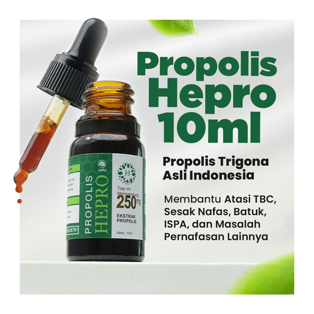 Jual PROPOLIS HEPRO TRIGONA - JAGA TUBUH DARI INFLUENZA | Shopee Indonesia