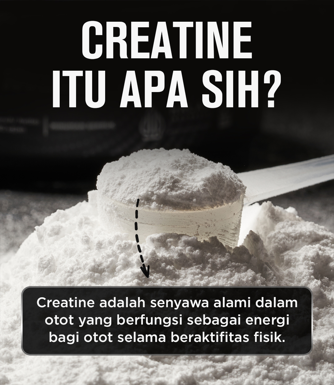 Jual FITlife CreaFLEX Pure Creatine Monohydrate | Shopee Indonesia