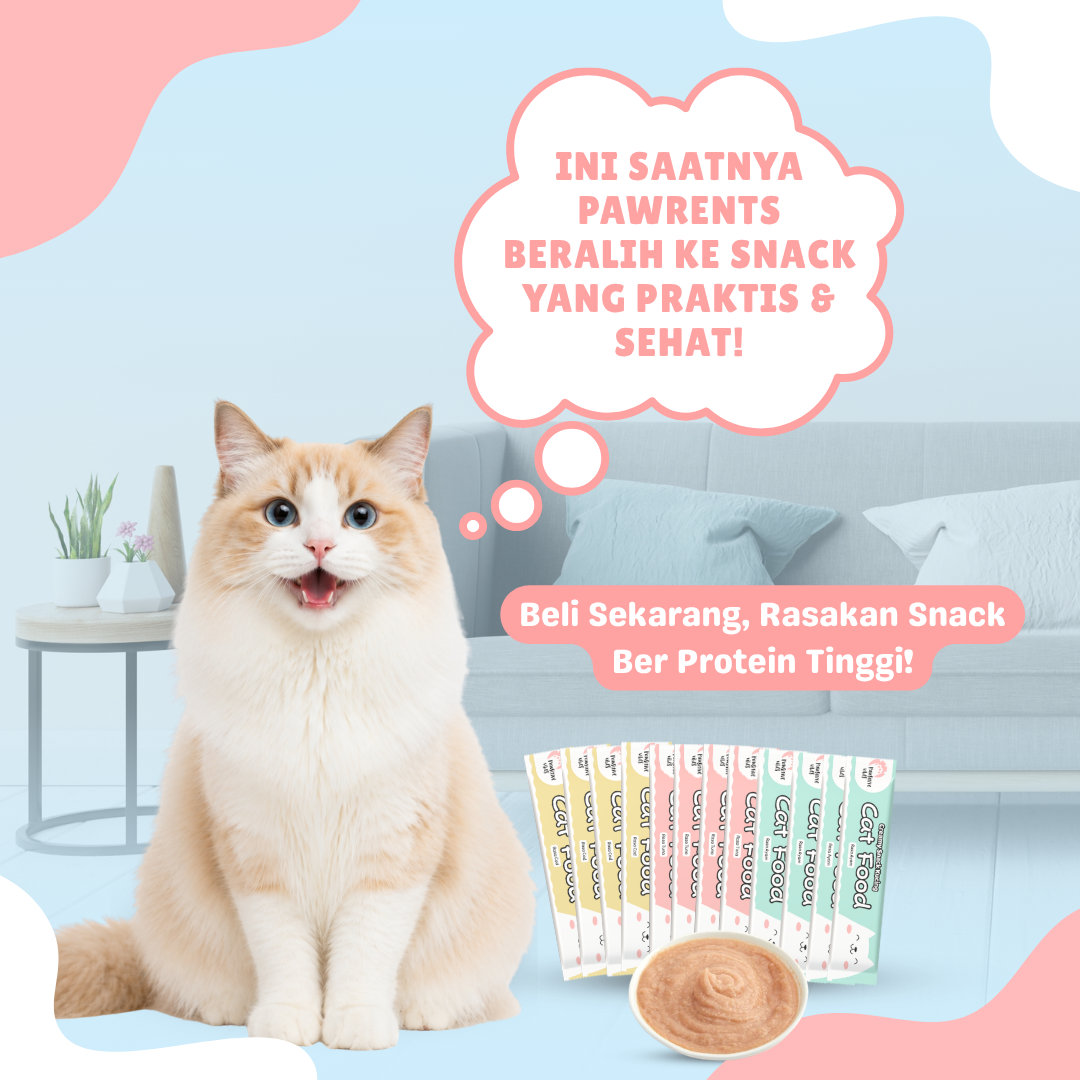 Jual PAKET Snack Creamy Kucing Isi 50 PCS - Cat Food - Paket Cemilan ...