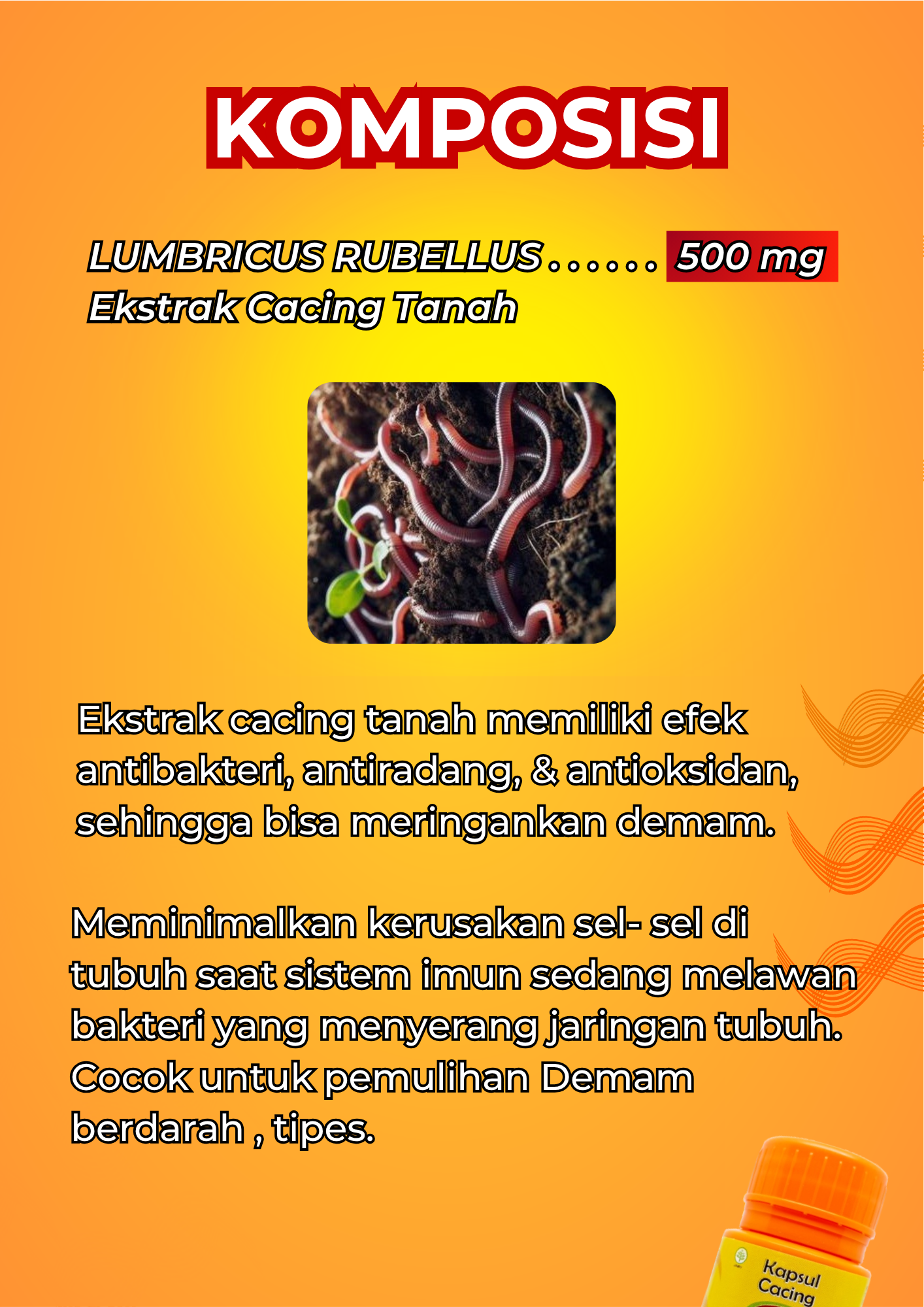 Jual VERMINUS 30 Kapsul Cacing Tanah Obat Herbal Tipes DBD Penurun ...