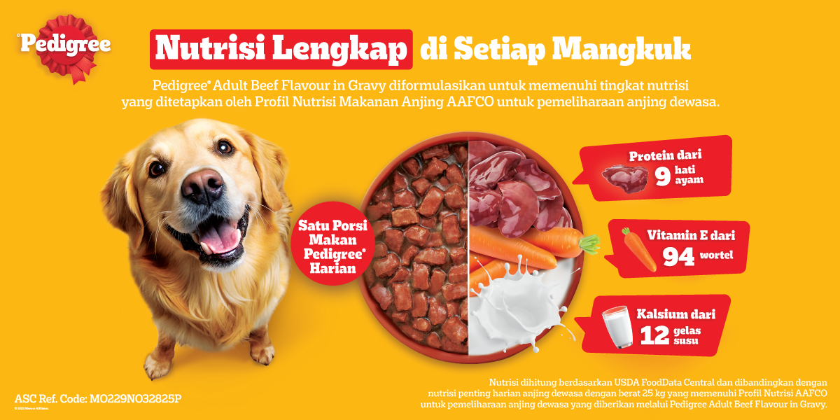 Jual PEDIGREE Makanan Anjing Basah Dewasa Pouch 80g (24-Pack) | Shopee ...