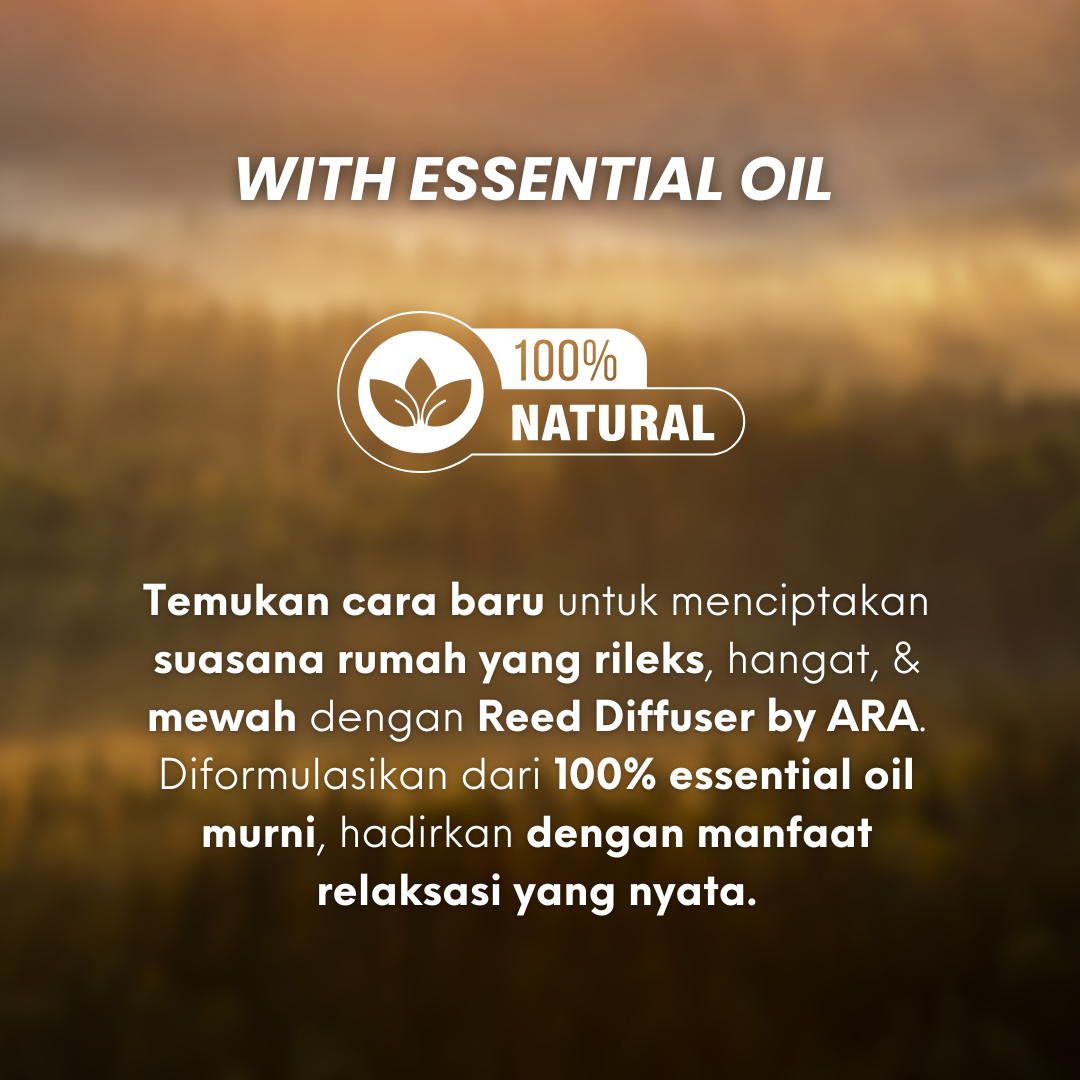 Jual Reed Diffuser Aromateraphy Tahan 90 Hari Essential Oil Pewangi ...