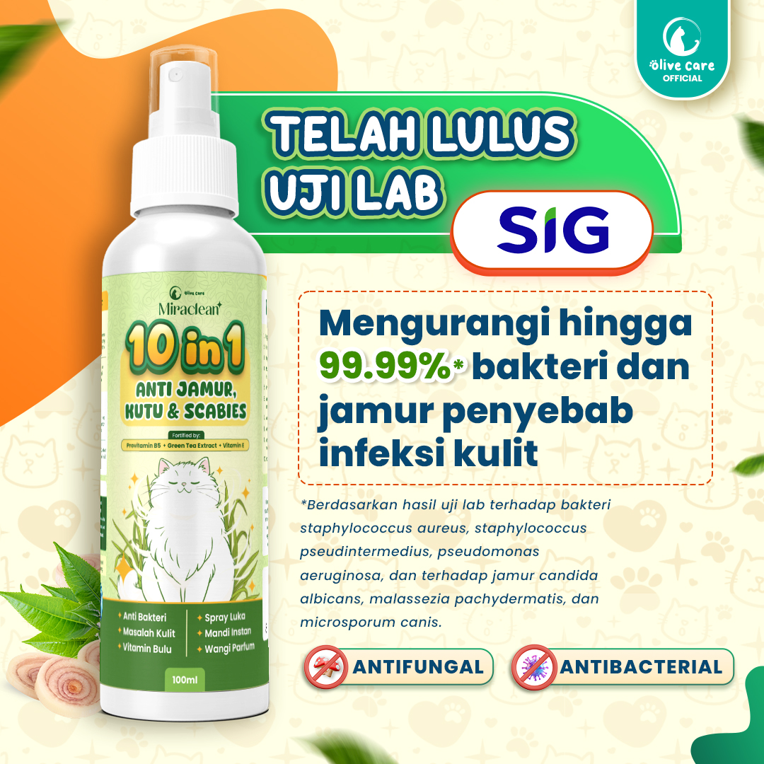 Jual Olive Care 10 in 1 ALL SKIN SOLUTION Anti Kutu, Jamur, Scabies ...