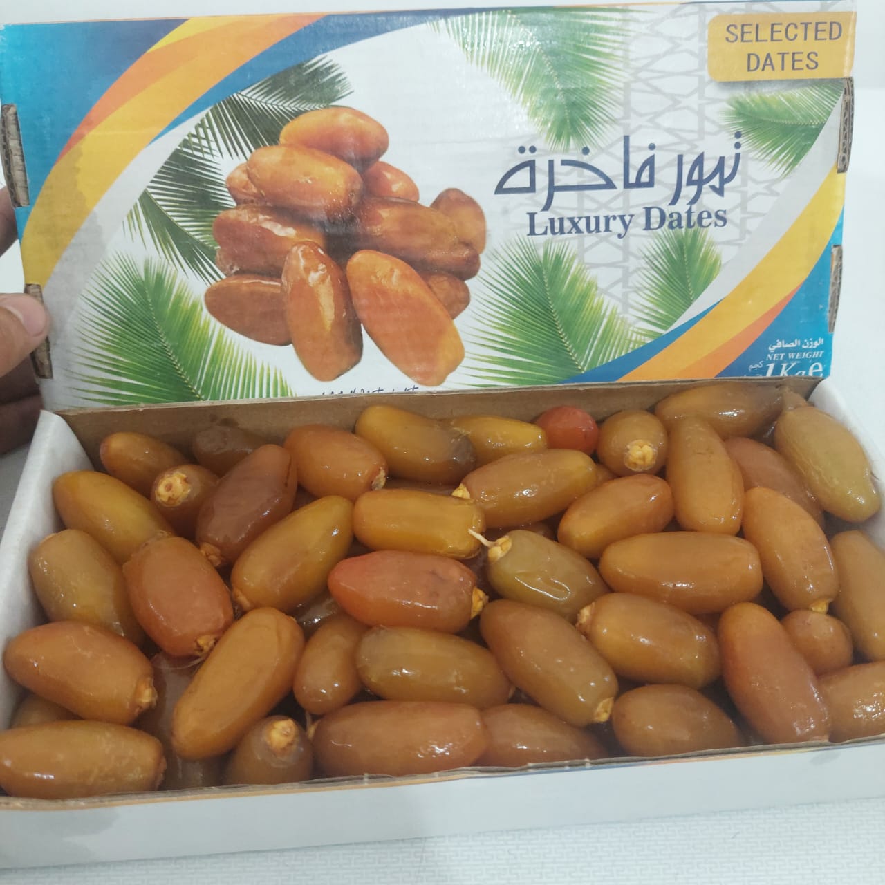 Jual Ruthob Libya 100% Fresh Premium / Kurma Rutob 1 KG | Shopee Indonesia