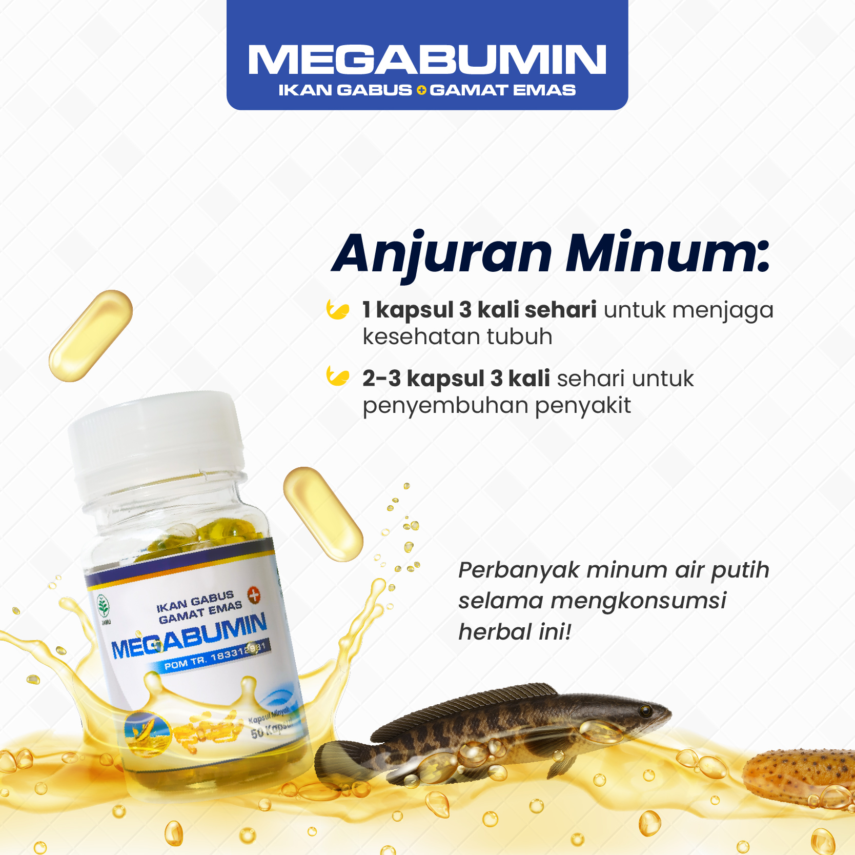Jual Megabumin - Kapsul Minyak Ikan Gabus Kutuk Plus Gamat Emas Obat ...
