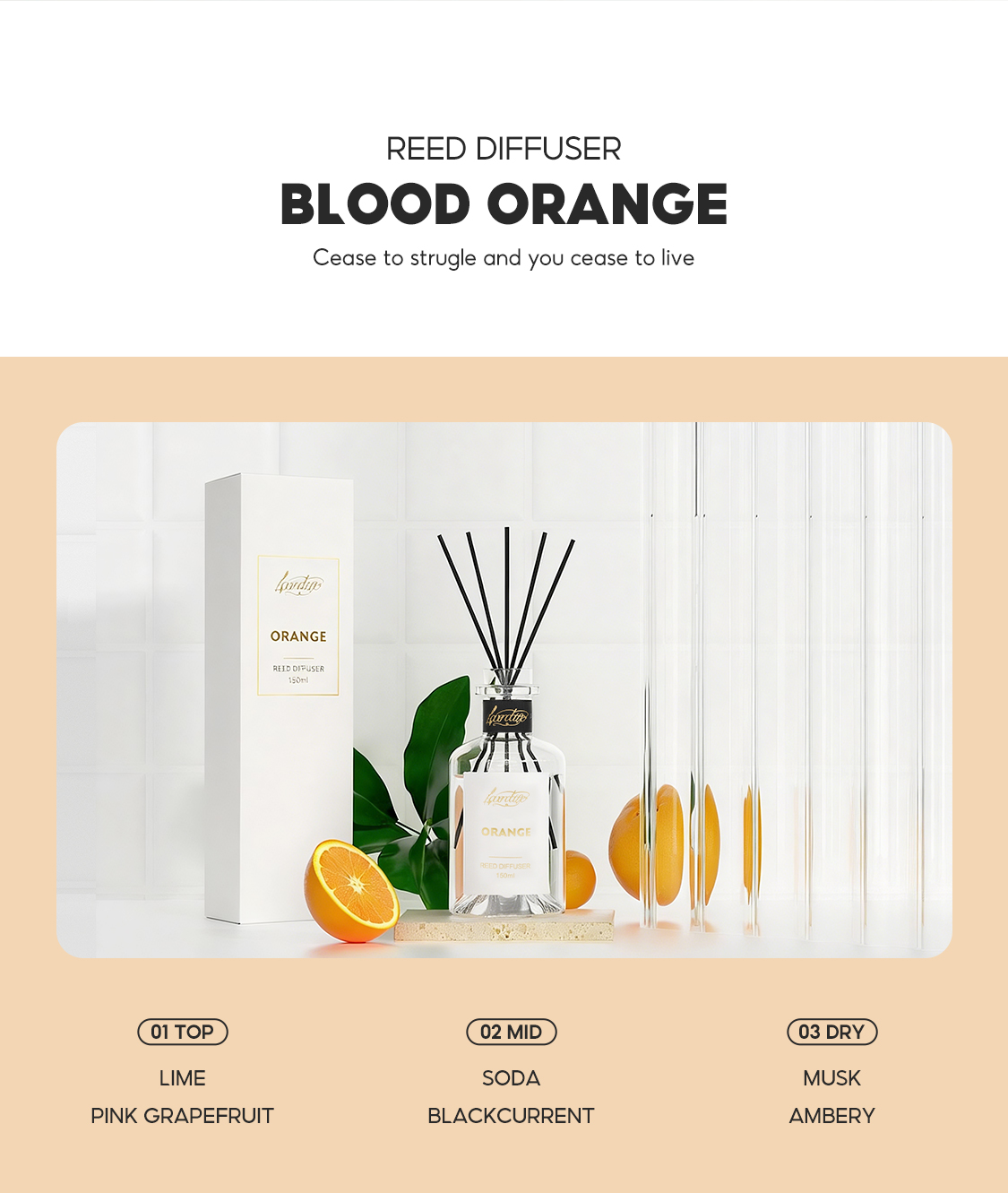 Jual OHSOME - Lavendale Reed Diffuser Pengharum Ruangan Aroma Floral ...