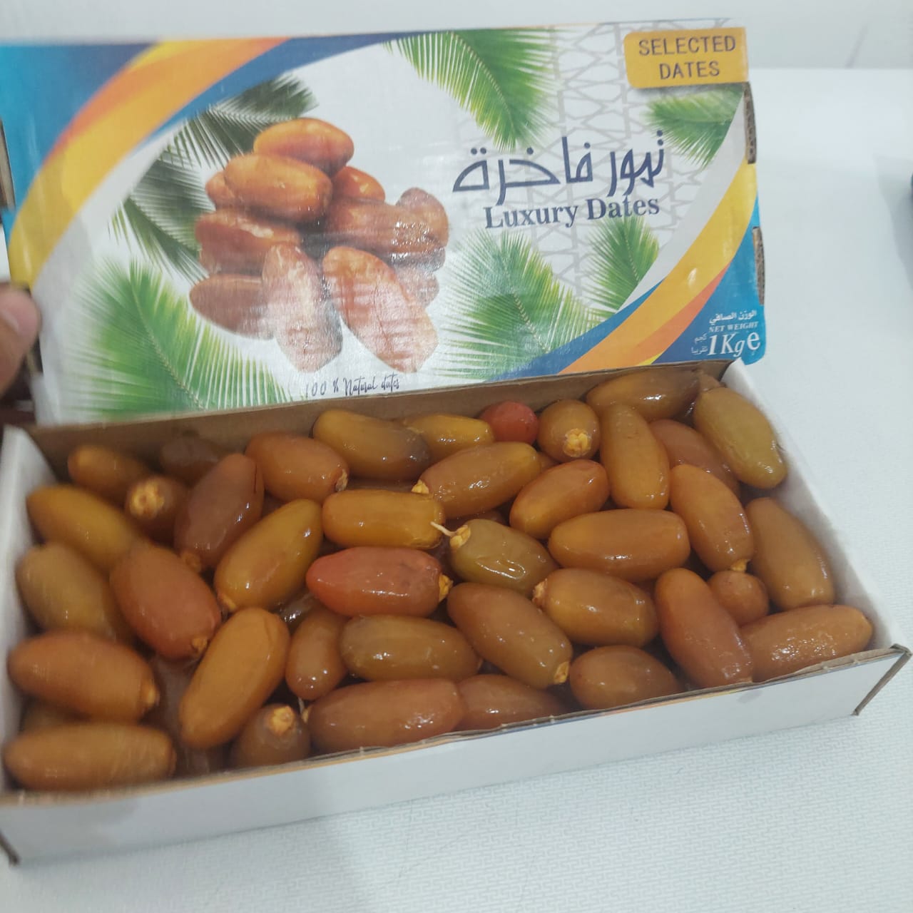 Jual Ruthob Libya 100% Fresh Premium / Kurma Rutob 1 KG | Shopee Indonesia