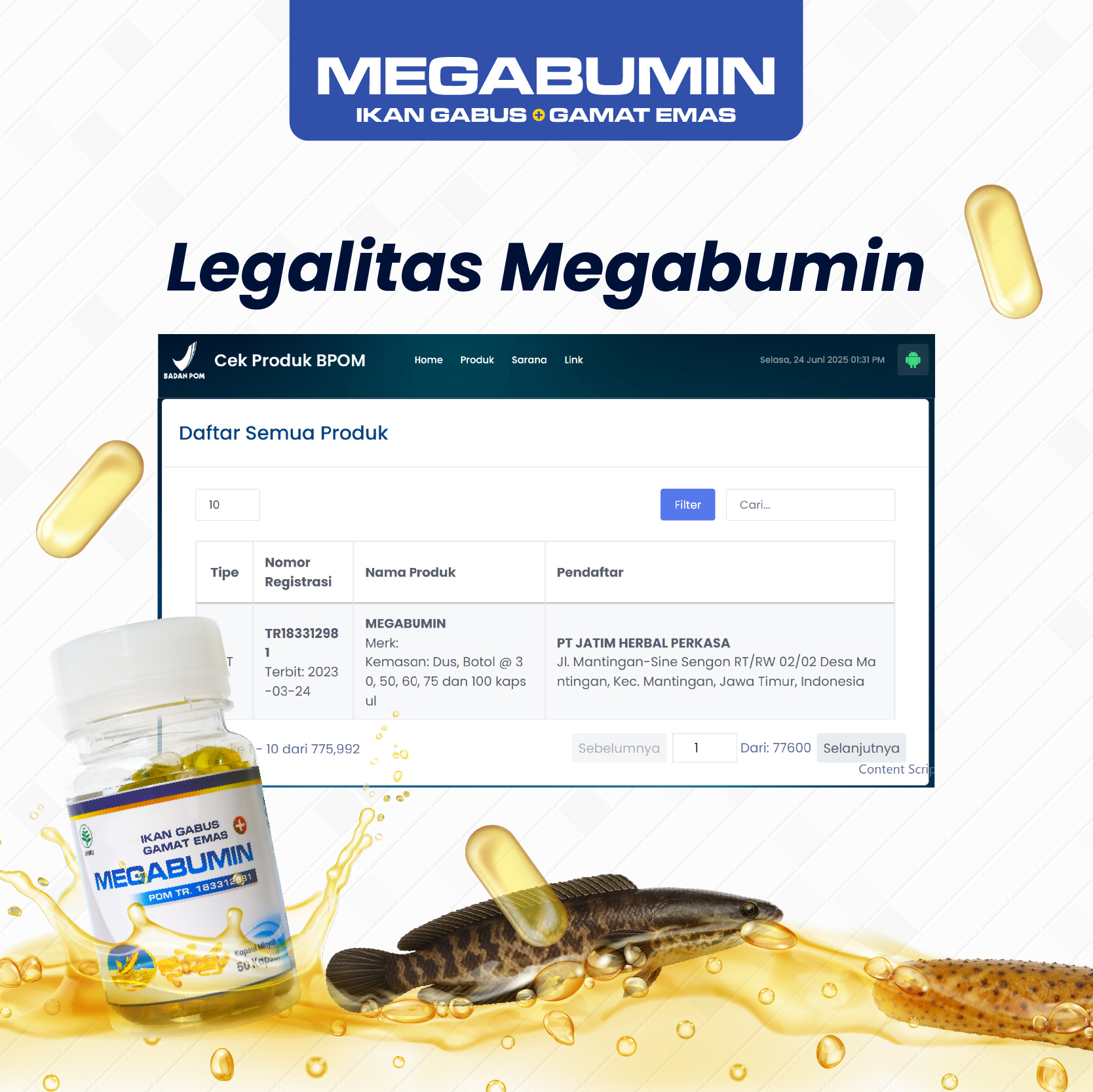 Jual Megabumin - Kapsul Minyak Ikan Gabus Kutuk Plus Gamat Emas Obat ...
