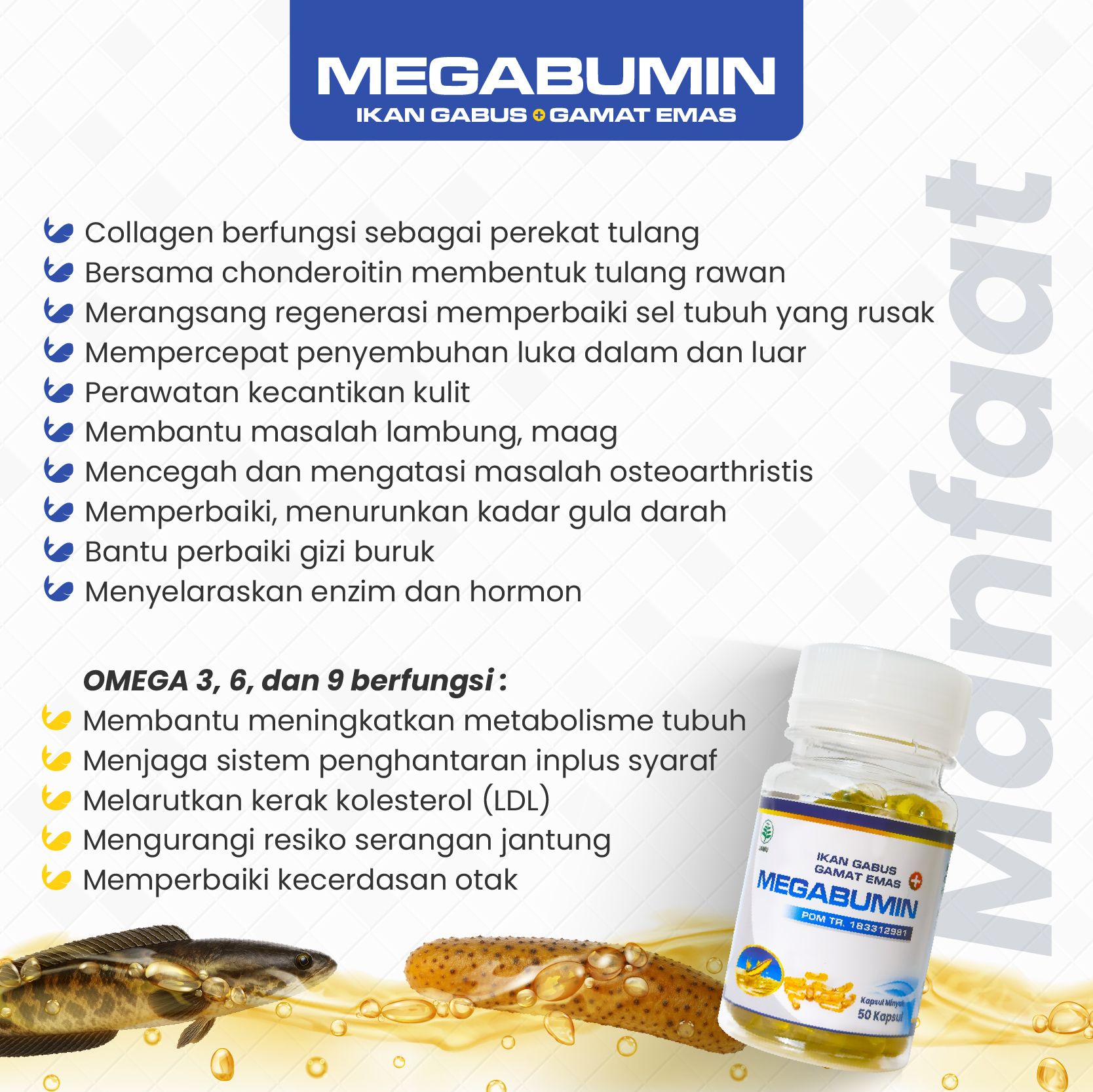 Jual Megabumin - Kapsul Minyak Ikan Gabus Kutuk Plus Gamat Emas Obat ...