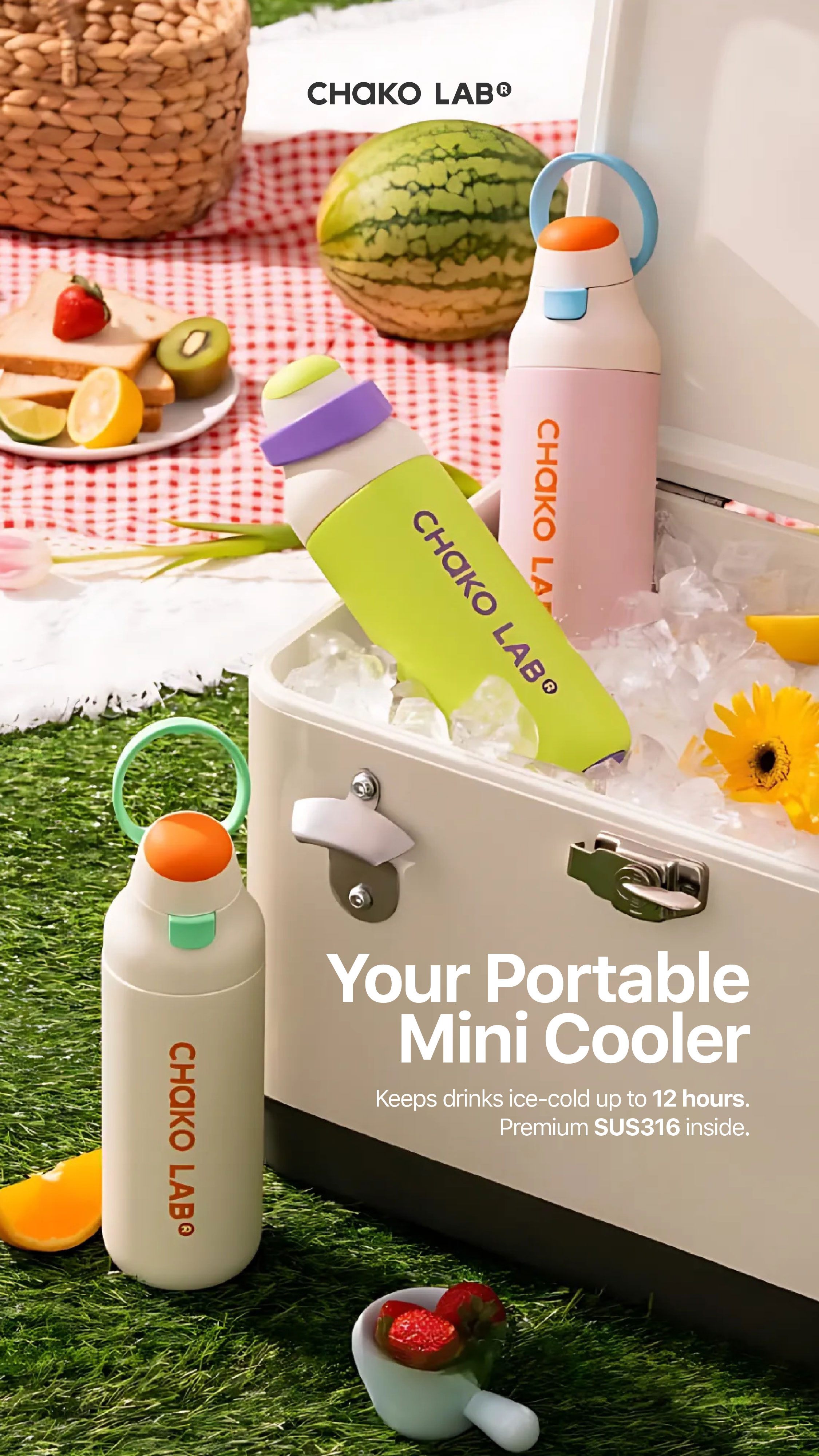 Jual CHAKO LAB KaDa DoubleSip Insulated Bottle Buddy (550ml) - Milk ...