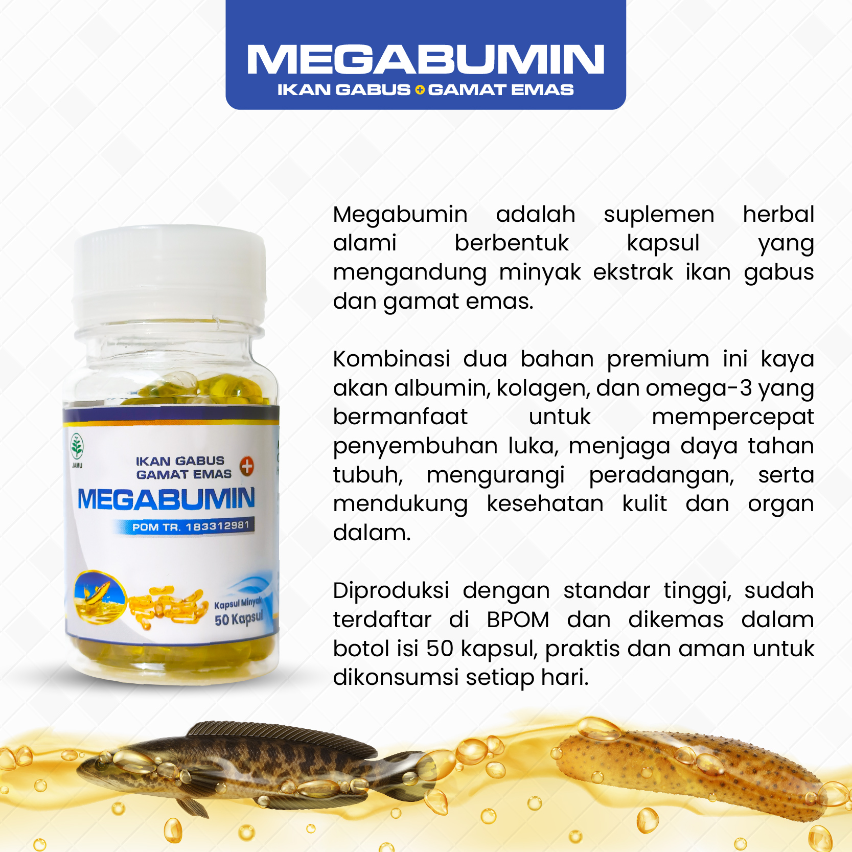 Jual Megabumin - Kapsul Minyak Ikan Gabus Kutuk Plus Gamat Emas Obat ...