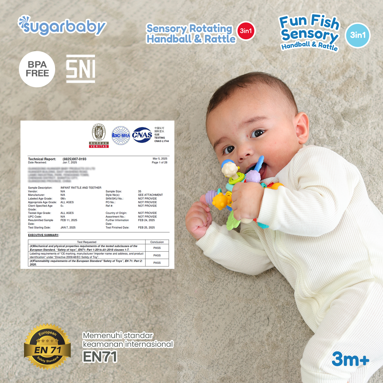 Jual Sugarbaby Fun Fish Sensory Rotating Handball Rattle Baby Toys ...