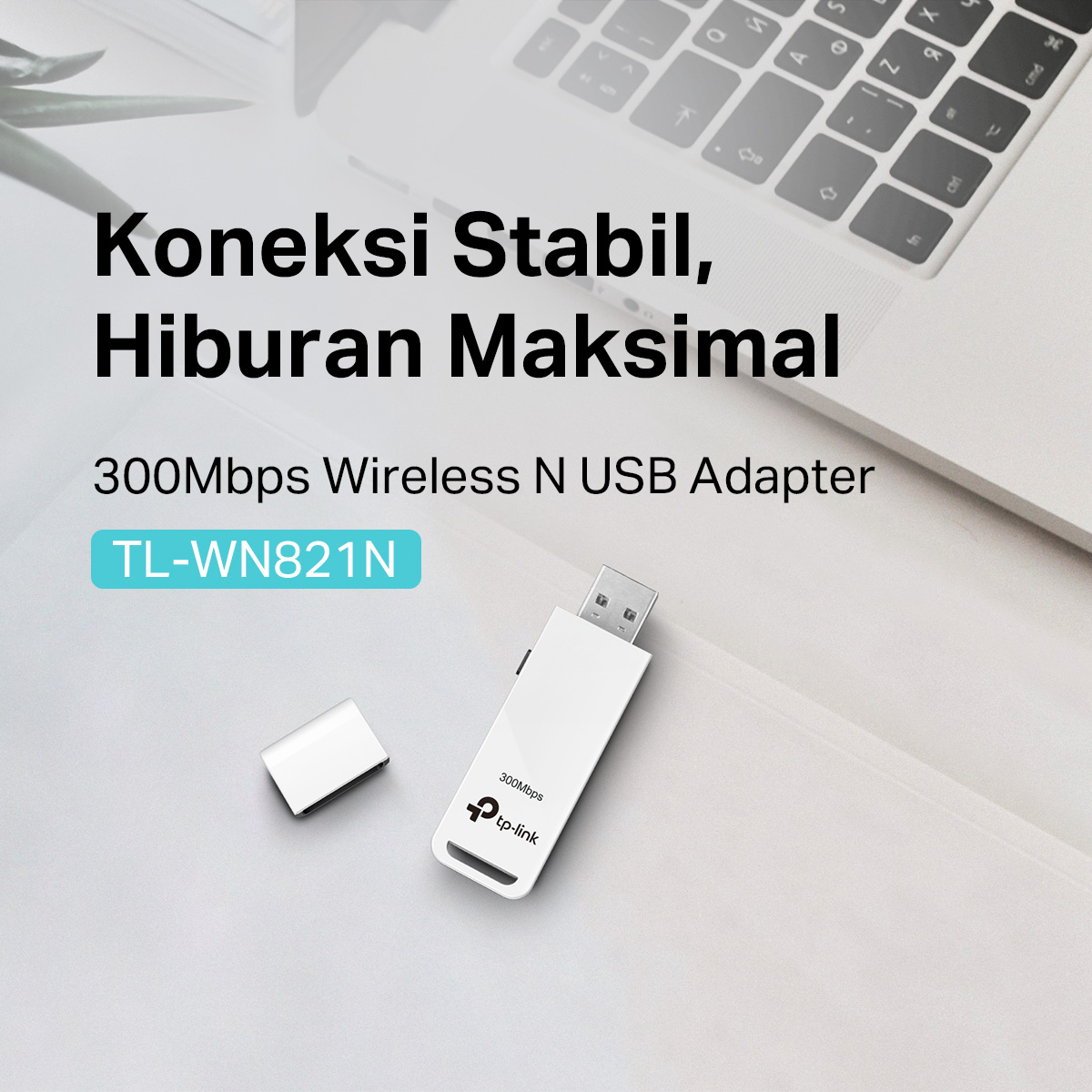 Jual TP-Link TL-WN821N | 300Mbps Wireless N Adapter | WiFi Receiver ...